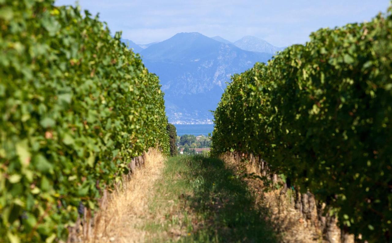 Cobue "Wine Resort & Spa" Поццоленго Экстерьер фото
